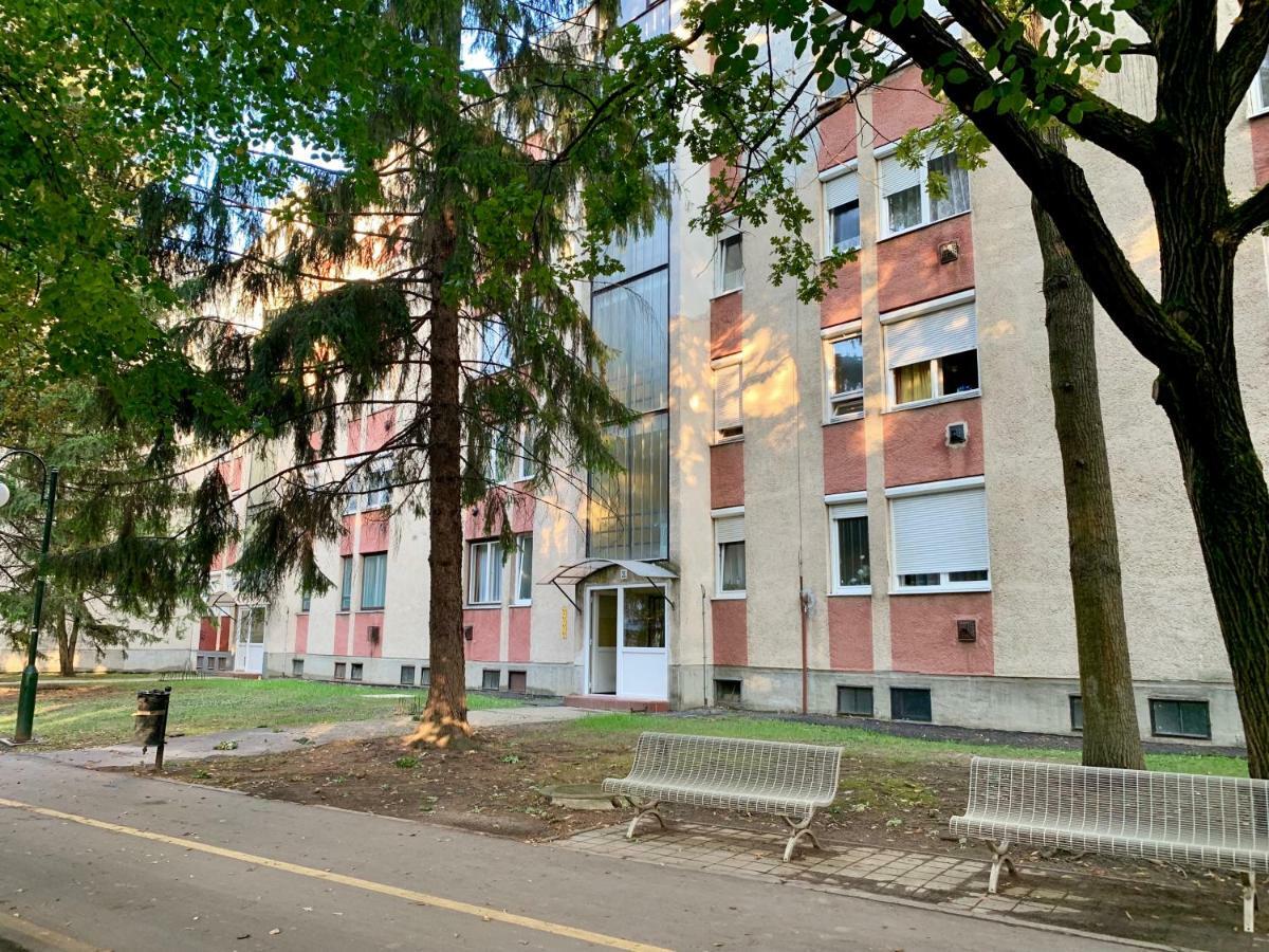 Anita Apartman Hajdúszoboszló المظهر الخارجي الصورة